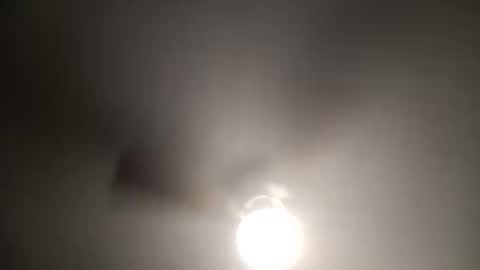 red24devils online show from January 3, 4:44 am