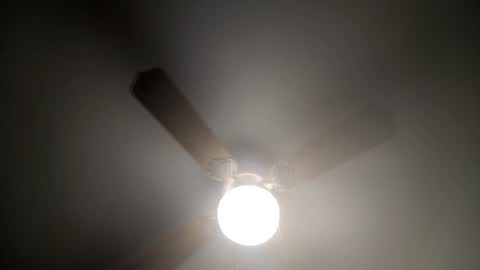 red24devils online show from March 10, 3:34 am