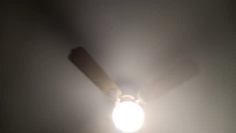 red24devils online show from March 12, 4:41 am