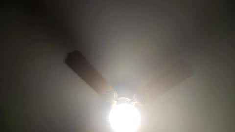 red24devils online show from February 26, 4:58 am