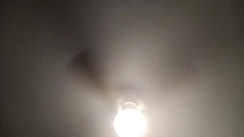 red24devils online show from January 8, 9:34 pm