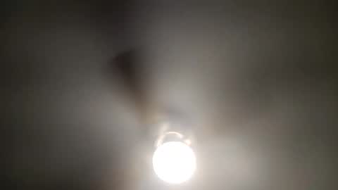 red24devils online show from December 15, 5:56 am