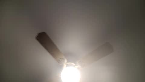 red24devils online show from January 30, 9:14 pm