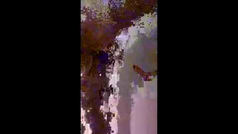 redwings40 online show from June 3, 5:31 am