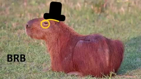 Chris online show from October 22, 7:16 pm