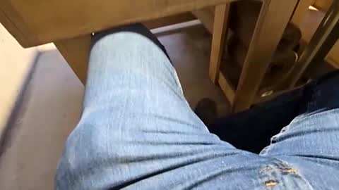 robbiebob6828 online show from March 2, 10:50 pm