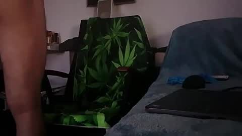 Zenek online show from February 1, 8:02 am