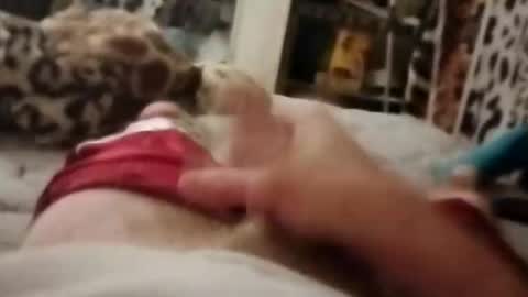 rockinchell online show from April 1, 9:55 am