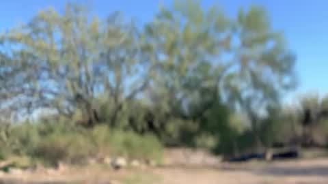 ronin098 online show from November 10, 10:36 pm