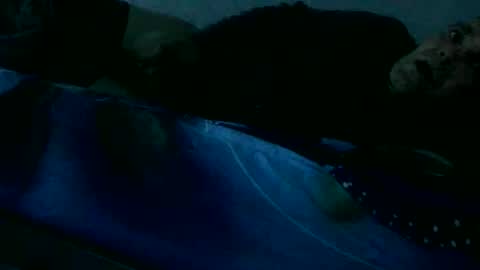 arte online show from December 12, 8:14 am