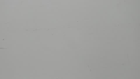 Snapshot of salvatore_damore chatting on February 5, 11:23 am SALVATORE online show from February 5, 11:23 am