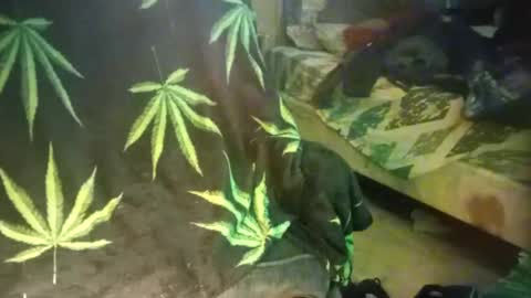 sameeed99 online show from March 3, 7:50 am