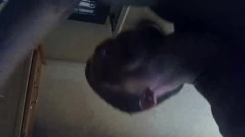 sameeed99 online show from September 15, 3:41 am