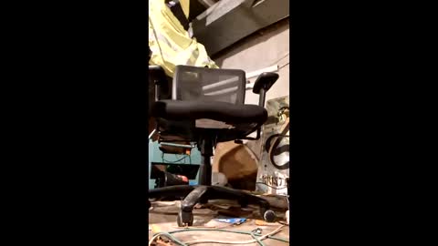 samueleknx online show from April 24, 6:05 am