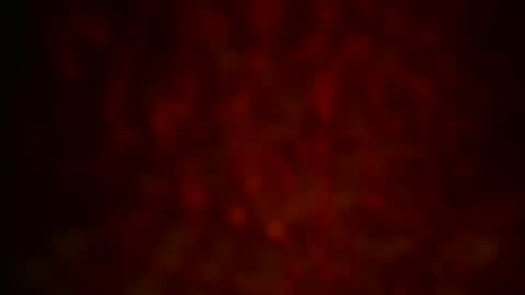 samueltal online show from October 26, 10:12 pm