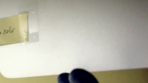 sanbig69 online show from December 6, 5:11 pm