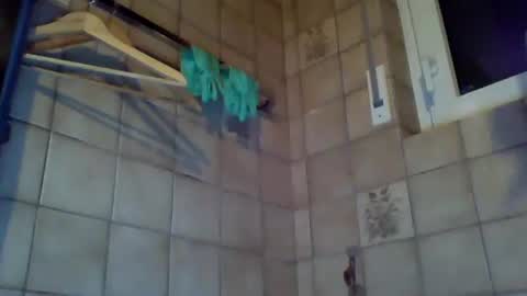 schnibschnab online show from October 15, 1:46 am