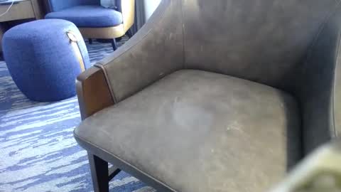 . online show from November 7, 3:04 pm