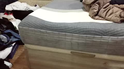 scubi007 online show from November 2, 10:14 pm