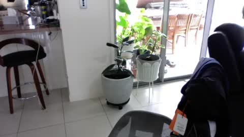 Snapshot of sebastianalll chatting on December 30, 12:22 am sebastianalll online show from December 30, 12:22 am