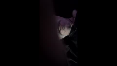 sevydub55 online show from March 1, 11:43 am