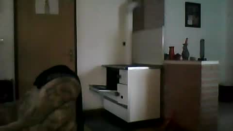 Snapshot of shaomy711 chatting on February 2, 8:02 am excelo21 online show from February 2, 8:02 am