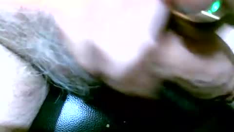 shootertog online show from October 18, 8:30 am