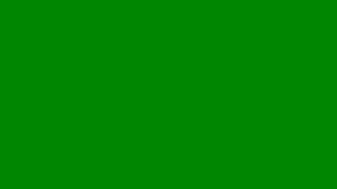 sjorm online show from April 29, 7:20 pm