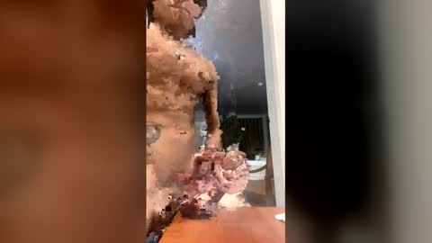  inters online show from February 2, 8:57 am