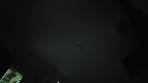 Reuben online show from April 22, 2:07 am