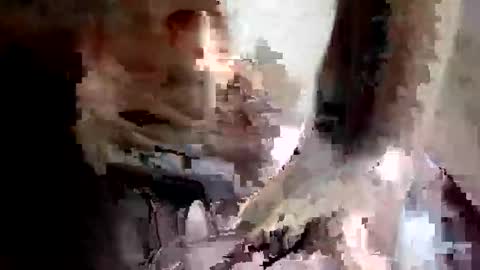 Z online show from November 8, 10:13 pm