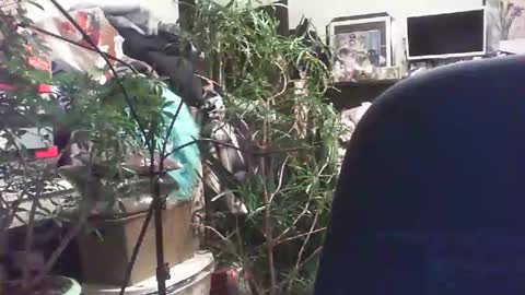 slowsportnaked online show from November 9, 4:00 pm