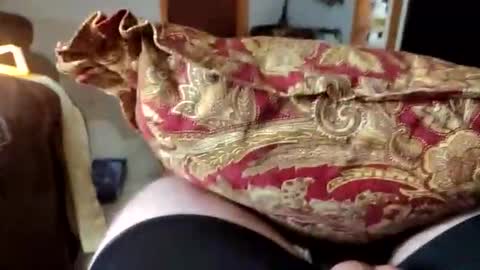 small_dick361 online show from February 1, 12:26 pm