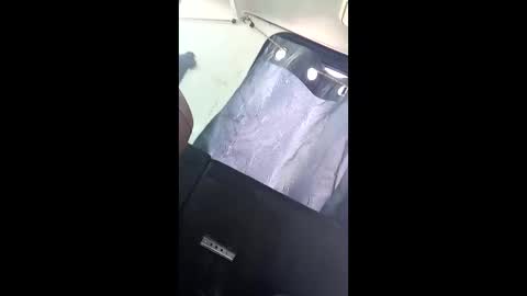 snorkelextradenair online show from February 9, 7:52 pm