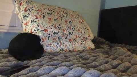 Snapshot of soccerstarnoww chatting on January 30, 9:57 am soccerstarnoww online show from January 30, 9:57 am