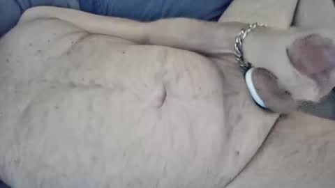 southernblueeyez online show from November 10, 3:22 am