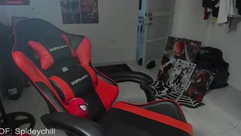 spideychill online show from February 15, 11:35 pm