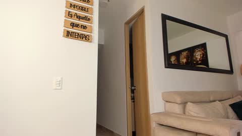 ANDR online show from December 20, 3:14 am