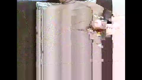 star0806666a online show from December 20, 10:11 am