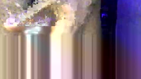 starvddick online show from October 28, 11:40 pm