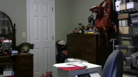 stasw20 online show from January 25, 3:09 am