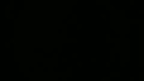 steflab online show from December 15, 10:01 am