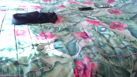 Rocco-load online show from April 5, 3:19 pm