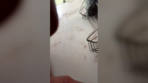 stephenn217 online show from March 14, 4:47 pm