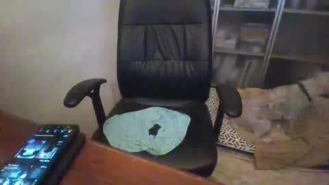 rainy online show from December 14, 1:12 am