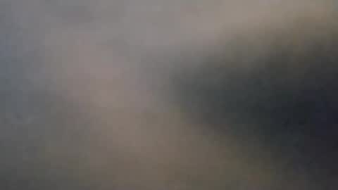 Oval2022 online show from April 3, 1:30 pm