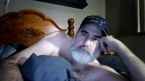 Straightbear4you online show from September 19, 8:26 am