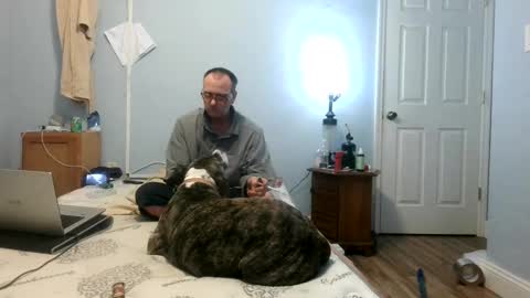 Strobody86 online show from February 25, 2:25 am