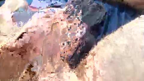 stroker_12 online show from December 20, 12:08 am