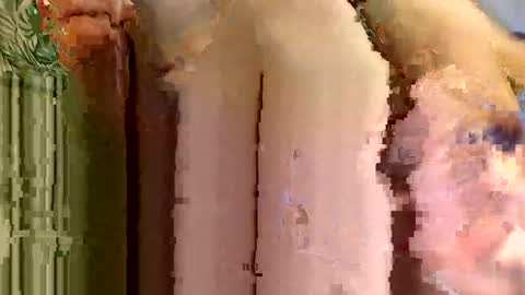 subexplor online show from March 14, 2:51 am